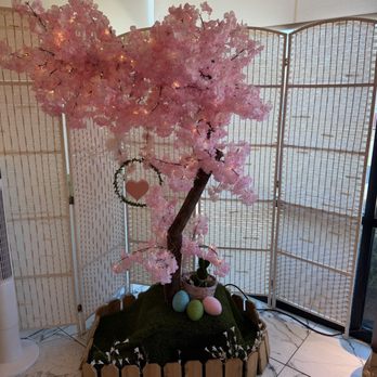 Prince Tea House - Desserts Near Me - Virginia Beach, Virginia