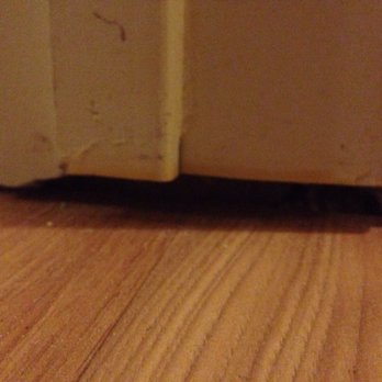 Empire Today - Empire flooring - Carpet Installation Near Me Empire Today - Empire flooring - Carpet Installation Near Me