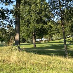 Koshkonong Mounds Country Club - View of fairway