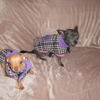 Spencer Pet Salon - Pet Groomers Near Me - Pasadena, Texas Spencer Pet Salon - Pet Groomers Near Me - Pasadena, Texas