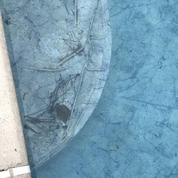 The Pool Store - Wrinkles on steps. This was before it totally came off steps - Pool Cleaners Near Me - Sewell, New Jersey