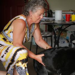 Vibrant Energy Healing Center - Animal Chiropractic