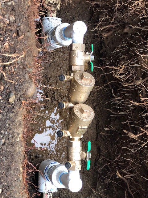 Slide of Puget Sound Backflow