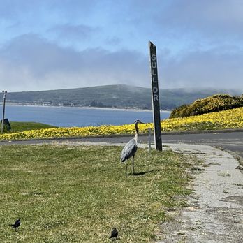 Drakes Fireside Lounge - Gil Scott.... - New American Near Me - Bodega Bay, California