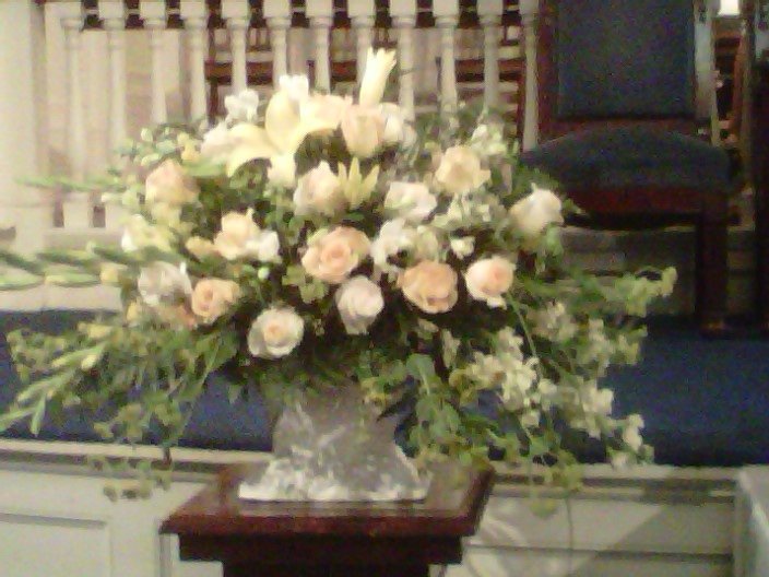 FLOWERS BY MARIANNE Updated October 2024 76 Photos 23 Elm St