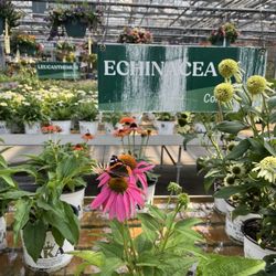 Alsip Home & Nursery