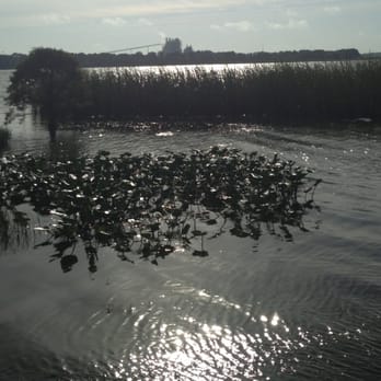 Lake Parker Park - Parks Near Me - Lakeland, Florida Lake Parker Park - Parks Near Me - Lakeland, Florida