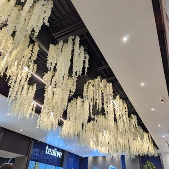 Dao Cafe - Ceiling. - Cafes Near Me - Ottawa, Ontario