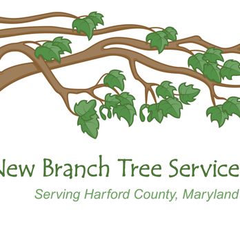 New Branch Tree Service - Firewood Near Me New Branch Tree Service - Firewood Near Me
