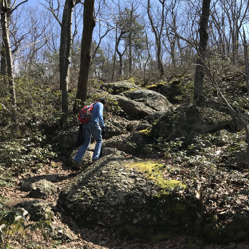 Schunemunk Mountain State Park - Different terrain on the trail - April 2018 - Hiking Near Me - New Windsor, New York Schunemunk Mountain State Park - Different terrain on the trail - April 2018 - Hiking Near Me - New Windsor, New York