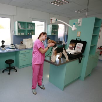 SmartVet - Veterinarians Near Me - Bergedorf, HH