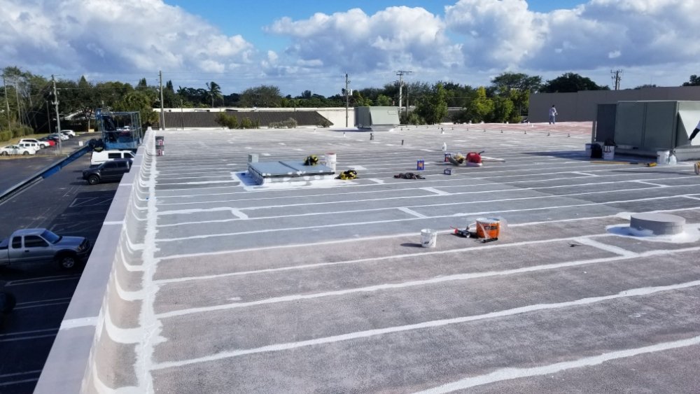 Slide of Rainbow Painting Group