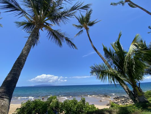 The Hale Pau Hana by null