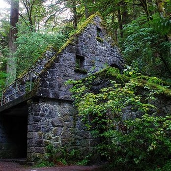 Macleay Park - An overgrown, crumbling restroom is the surprising highlight of beautiful MacLeay park. - Parks Near Me - Portland, Oregon Macleay Park - An overgrown, crumbling restroom is the surprising highlight of beautiful MacLeay park. - Parks Near Me - Portland, Oregon