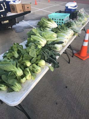 Coppell Farmers Market by null