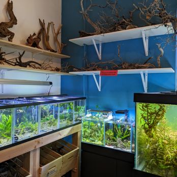 The Fish Barn - Aquarium Services Near Me - Orinda, California