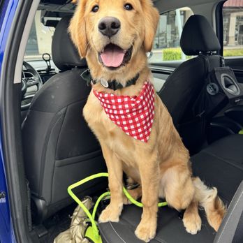 Petco - Pet Training Near Me - Buena Park, California