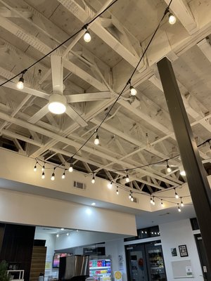 Sweet Octopus by null