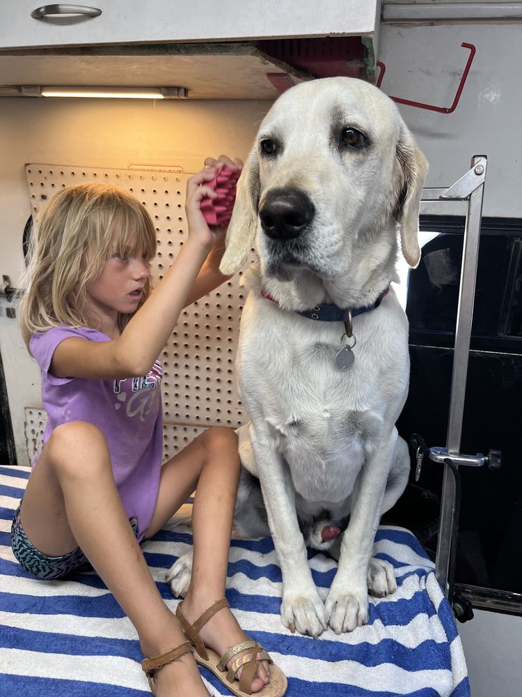 DOGGY SPA Request an Appointment 1308 Stockton Hill Rd, Kingman