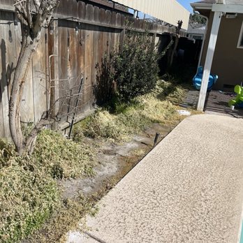 TRINITY LAWN CARE - Gardeners Near Me