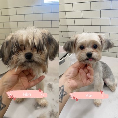 ~Before and After~ - Make an appointment with us today!