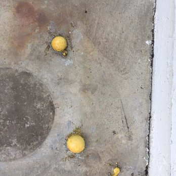 AllStar Demolition - Masonry/Concrete Near Me