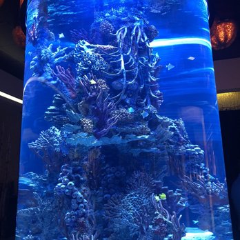 Atlantis Steakhouse - Steakhouses Near Me - RENO, Nevada Atlantis Steakhouse - Steakhouses Near Me - RENO, Nevada
