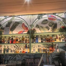 Mister Oso - Bar area