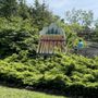 Photo of Shivering Timbers