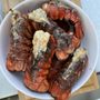 Photo of Twin Lobsters