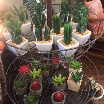 Eclectic Jade - Furniture Stores Near Me - Franklin, Indiana