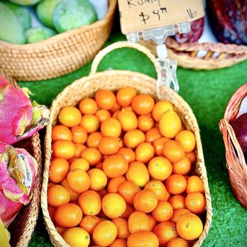 Lakeview Farm Store - Beautiful little Kumquats like rays of pure sunshine OuiOui :)... - Farmers Market Near Me - Clearwater, Florida