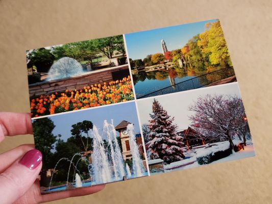 Oswald's Pharmacy by null