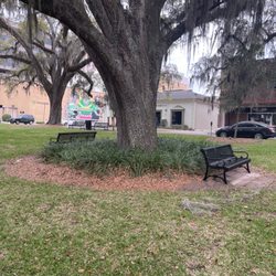 Lewis Park