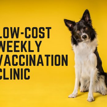 Southern Agriculture - Visit our website for the schedule. No appointment requires. Low-cost vaccination clinic - Veterinarians Near Me - Owasso, Oklahoma Southern Agriculture - Visit our website for the schedule. No appointment requires. Low-cost vaccination clinic - Veterinarians Near Me - Owasso, Oklahoma