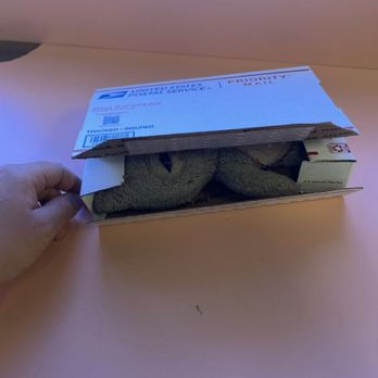Los Tacos - Forgotten stuffed animal being sent home. - Tacos Near Me - Bakersfield, California Los Tacos - Forgotten stuffed animal being sent home. - Tacos Near Me - Bakersfield, California