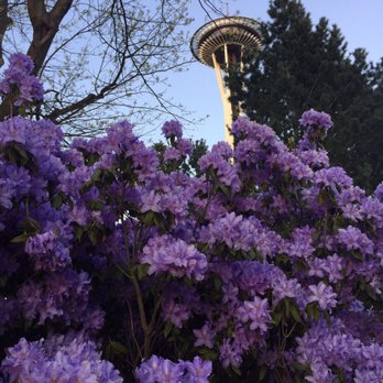 Space Needle - Landmarks & Historical Buildings Near Me - Seattle, Washington Space Needle - Landmarks & Historical Buildings Near Me - Seattle, Washington