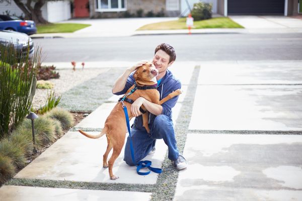 Private, In-Home Training for All - Certified, Expert Dog Training for Any Issue and Any Breed!
Start with a low-cost ($79) in-home consult in Orange County. We use only force-free, science-based methods tailored to your dog’s needs and your goals. Deal with the cause, not the symptom!
Featured Services
•In-Home Dog Training – Private, positive training at your home dealing with any issue, including reactivity and aggression.
•Puppy Training – Build good habits early
•Virtual Training – Remote sessions nationwide (includes follow-ups and unlimited email support)
Why Choose Us?
•Certified, experienced trainers
•Licensed, bonded & insured
•Serving LA, Orange County, and via virtual consults
•100% positive, force-free approach
Ready to Get Started?
Book your in-home or virtual consult today!
Call or text 949-767-8500 or email us at dave@everydogsocal.com Private, In-Home Training for All - Certified, Expert Dog Training for Any Issue and Any Breed!
Start with a low-cost ($79) in-home consult in Orange County. We use only force-free, science-based methods tailored to your dog’s needs and your goals. Deal with the cause, not the symptom!
Featured Services
•In-Home Dog Training – Private, positive training at your home dealing with any issue, including reactivity and aggression.
•Puppy Training – Build good habits early
•Virtual Training – Remote sessions nationwide (includes follow-ups and unlimited email support)
Why Choose Us?
•Certified, experienced trainers
•Licensed, bonded & insured
•Serving LA, Orange County, and via virtual consults
•100% positive, force-free approach
Ready to Get Started?
Book your in-home or virtual consult today!
Call or text 949-767-8500 or email us at dave@everydogsocal.com