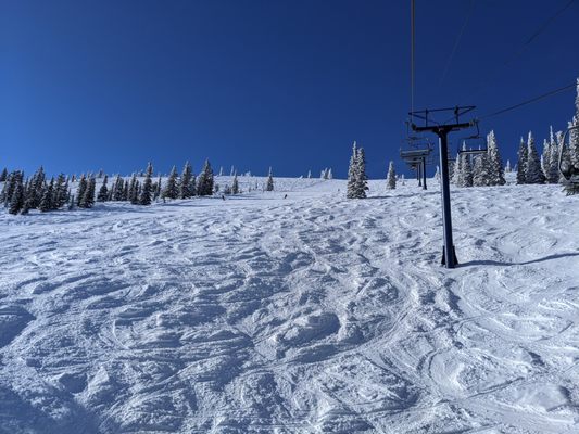 Schweitzer by null