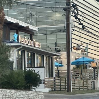Mendocino Farms - Salad Near Me - Austin, Texas