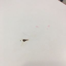 Sat us at a table with some mystery goo on the table. Sat us at a table with some mystery goo on the table.