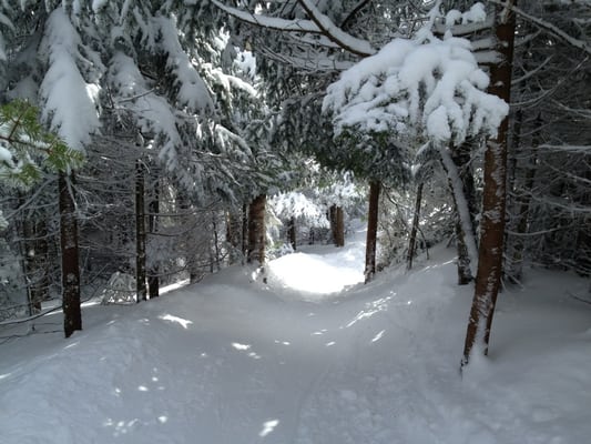 Stratton Mountain Resort by null