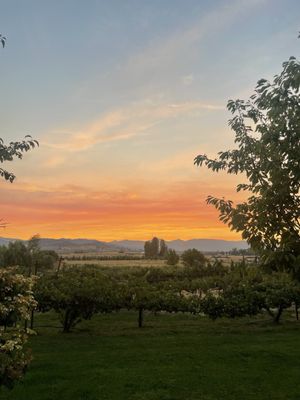 Edenvale Winery by null