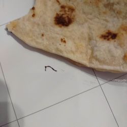 Don Burrito Restaurant - Hmmm, if it quacks like a duck and looks like a duck...