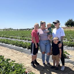 Strawberry picking with my sister and our kids