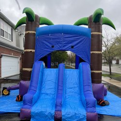 Jumping Joey’s - Slide view of the Majestic Tropical bounce house