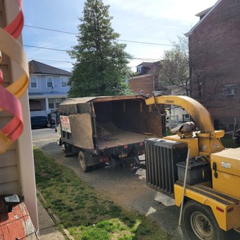 Ewing Tree Service - Tree Services Near Me - Ewing, New Jersey
