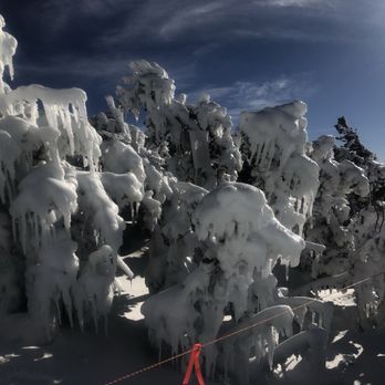 Sugar Bowl Resort - Heavy snow! - Ski Resorts Near Me - Norden, California Sugar Bowl Resort - Heavy snow! - Ski Resorts Near Me - Norden, California