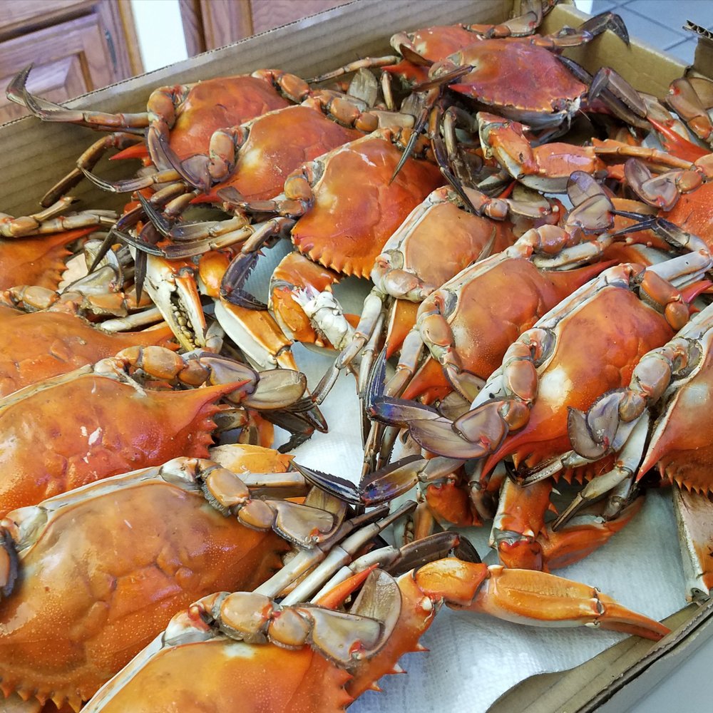 Today’s Ketch Seafood - Dinner, breakfast and lunch... Happy Birthday To Meeee!! - Seafood Markets Near Me - Chalmette, Louisiana Today’s Ketch Seafood - Dinner, breakfast and lunch... Happy Birthday To Meeee!! - Seafood Markets Near Me - Chalmette, Louisiana