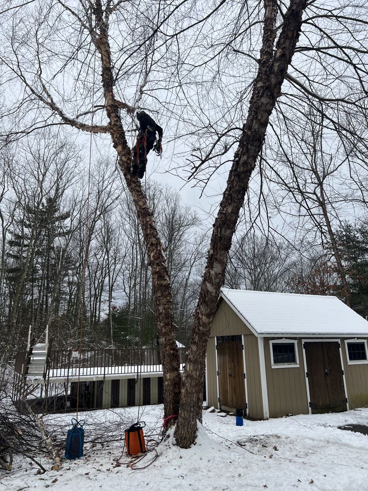 Hartland - tree service in Charlton, MA